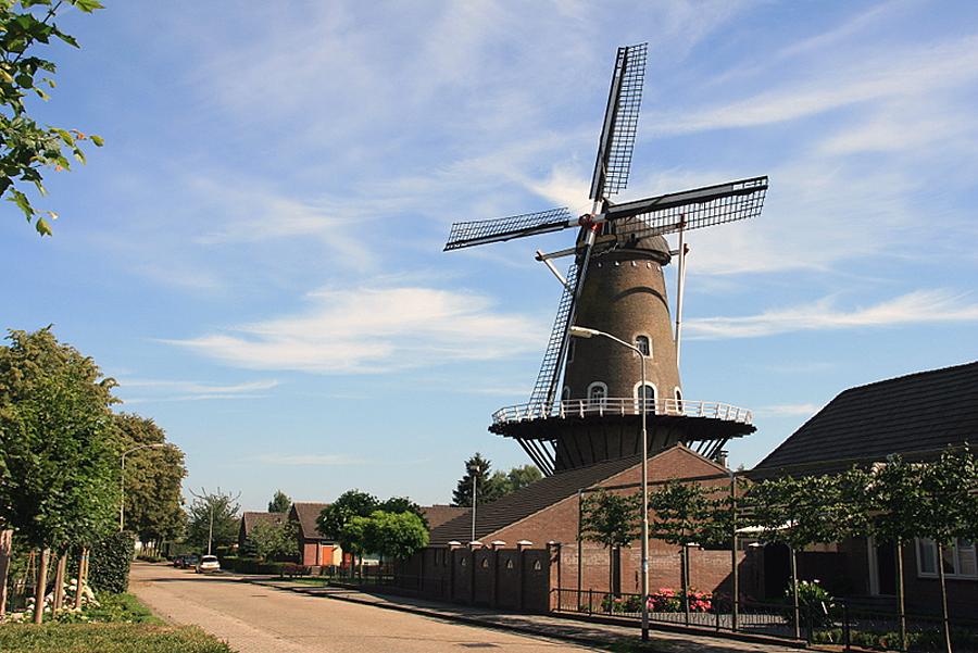 1, Molen 02775 De Wielewaal (Beneden-Leeuwen), John Scholte (27-6-2011). | Database Nederlandse molens