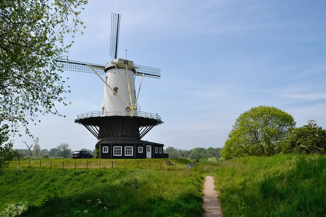 3, Molen 03319 De Koe (Veere), Rob Pols (04-05-2026)&nbsp;De molen staat met uitgenomen windborden te wachten op restauratie. Hij schijnt te zijn verkocht, want het grote bord met daarop 'TE KOOP' is weggehaald.&nbsp; | Database Nederlandse molens