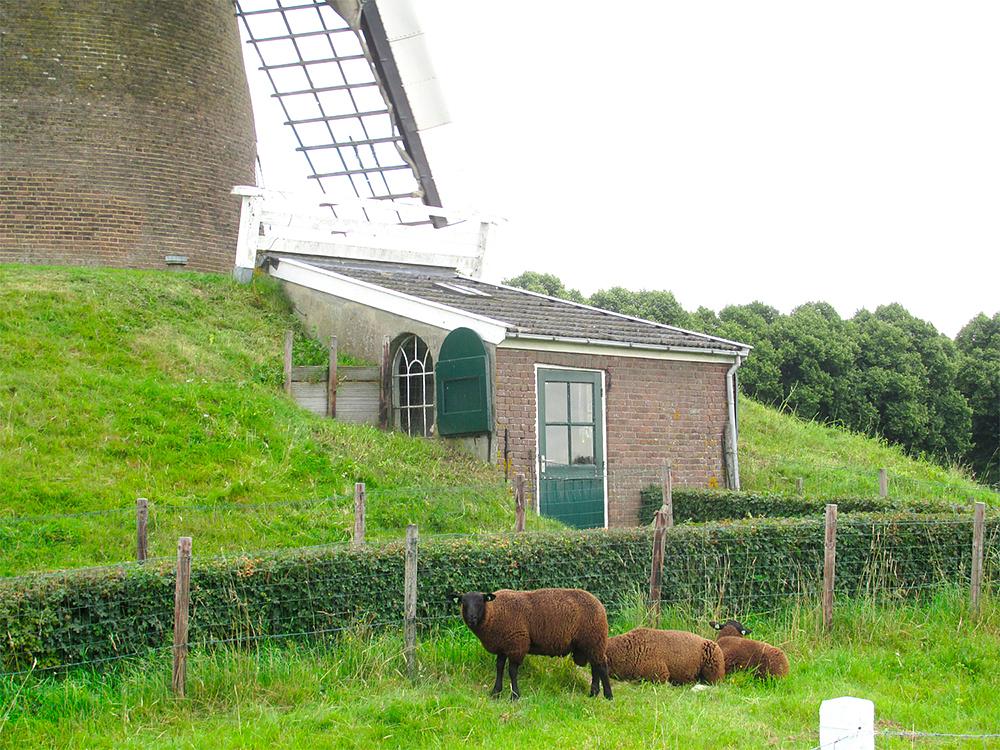 9, Molen 00392 Bronkhorstermolen (Steenderen), Piet Glasbergen (13-8-2016) | Database Nederlandse molens