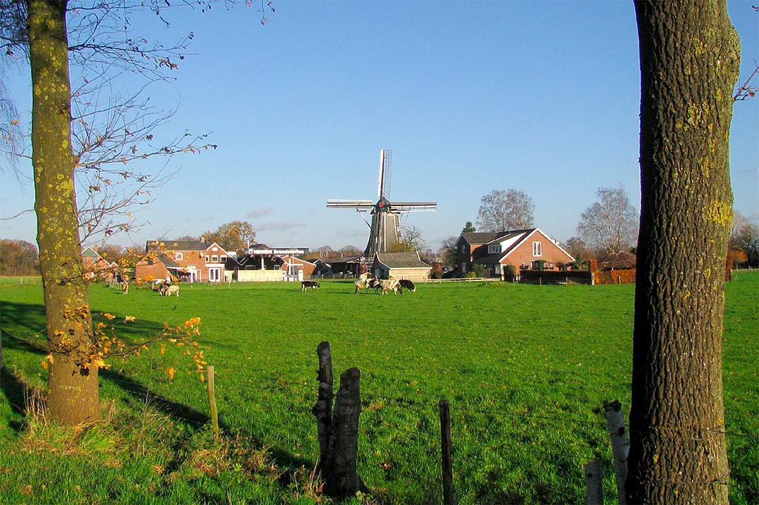 2, Molen 03114 Teunismolen (Dinxperlo - De Heurne), De landschappelijke waarde is zeer groot. Piet Glasbergen (4-12-2015) | Database Nederlandse molens