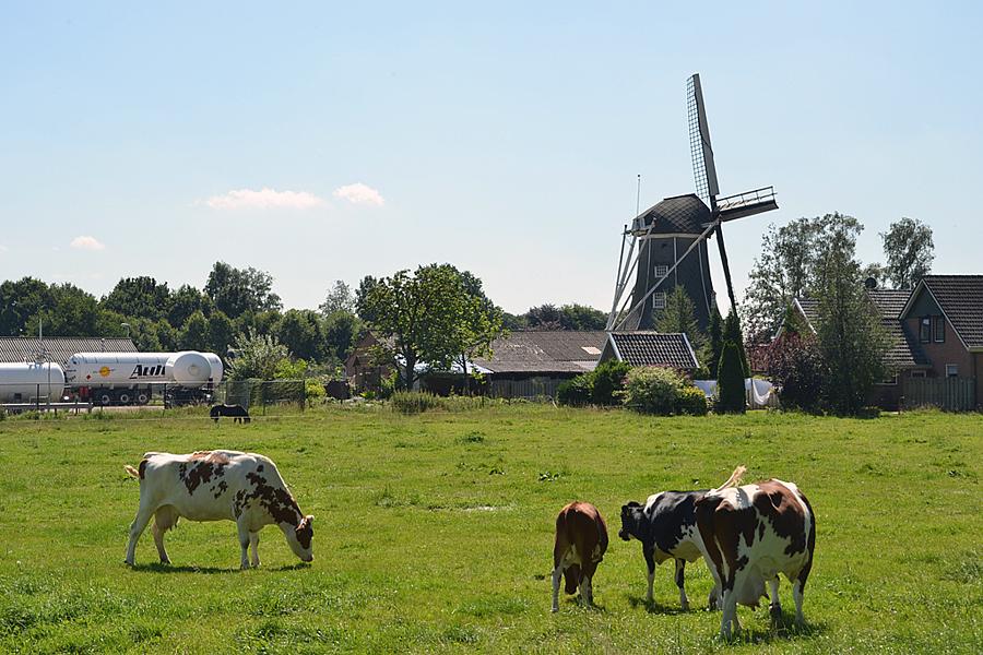 7, Molen 03114 Teunismolen (Dinxperlo - De Heurne), Rob Pols (1-8-2012) | Database Nederlandse molens