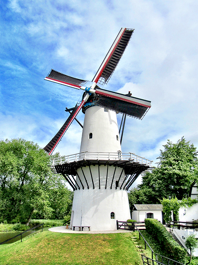 Molen 04921 De Vlinder (Deil), Frank Moerland (10-6-2017) | Database Nederlandse molens
