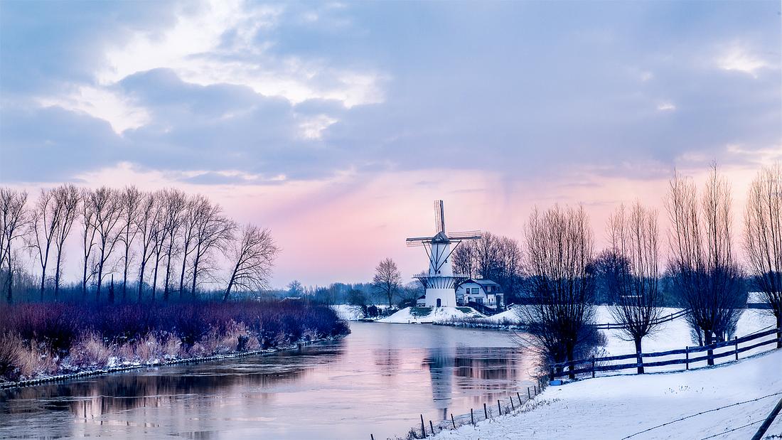 4, Molen 04921 De Vlinder (Deil), Bert Koppers (3-2021) | Database Nederlandse molens