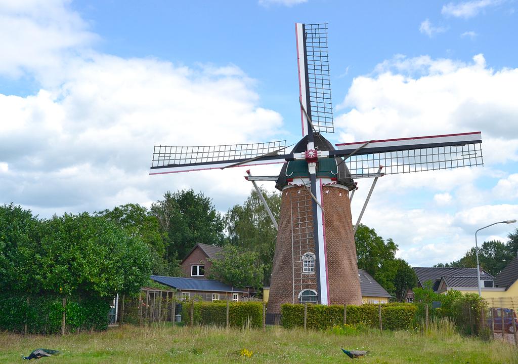 1, Molen 03124 Aurora (Dichteren), Rob Pols (31-7-2015) | Database Nederlandse molens