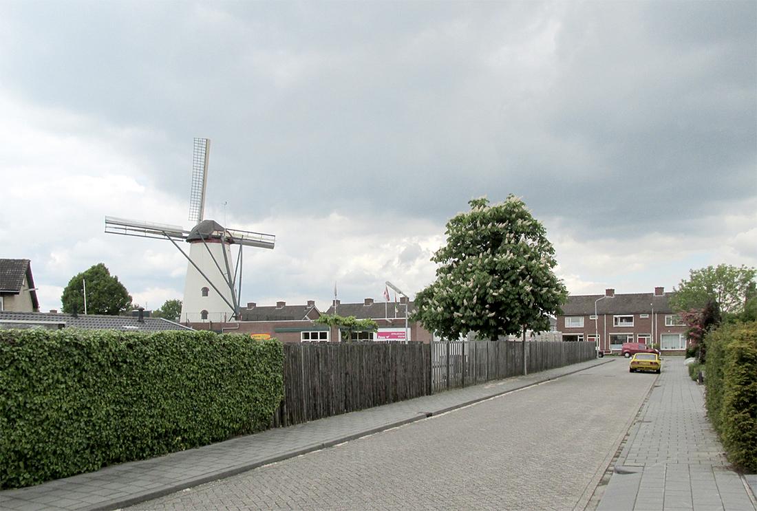 4, Molen 00866 Sint Martinus (Didam), Piet Glasbergen (24-5-2013) | Database Nederlandse molens