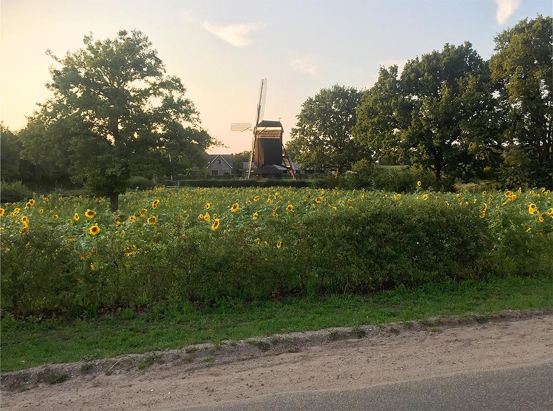 6, Molen 00856 Doesburgermolen (Ede), Irene Zaalberg (21-8-2019) | Database Nederlandse molens
