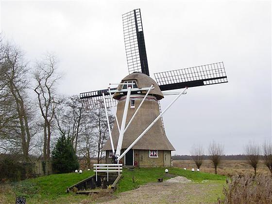 2, Molen 03878 De Reiger (Nijetrijne), Harmannus Noot (24-12-2006) | Database Nederlandse molens