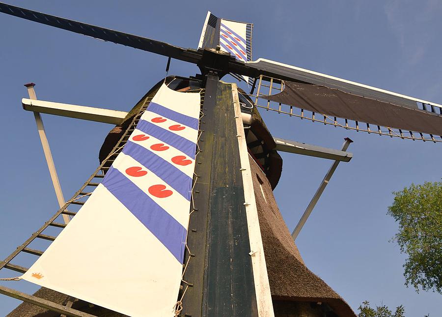 5, Molen 03878 De Reiger (Nijetrijne), Martijn Scholtens (11-6-2013) | Database Nederlandse molens