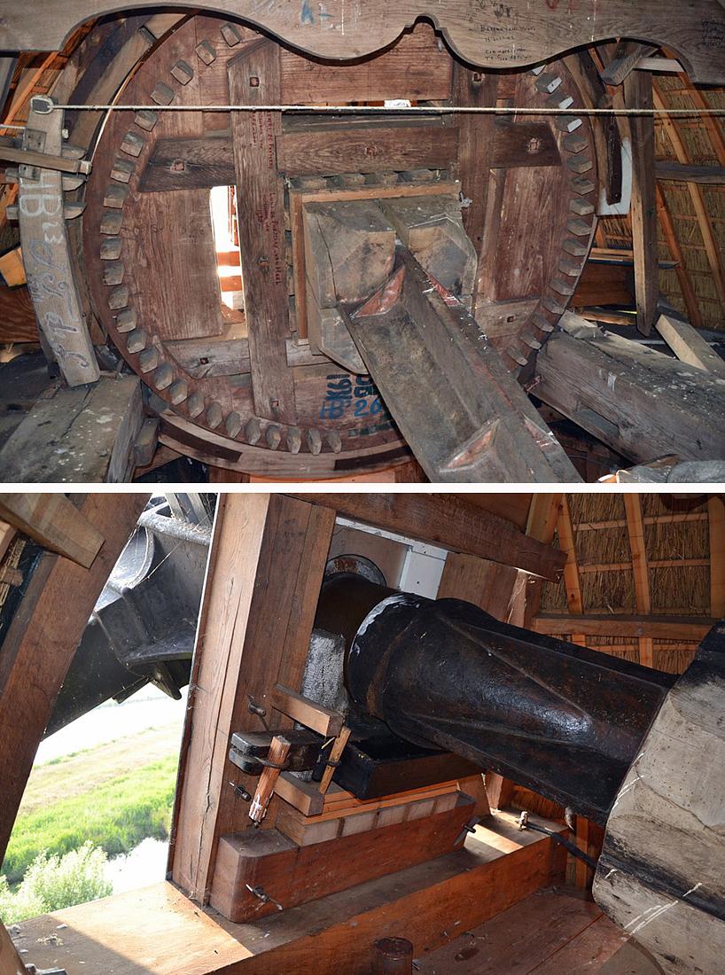 8, Molen 03878 De Reiger (Nijetrijne), Martijn Scholtens (11-6-2013) | Database Nederlandse molens