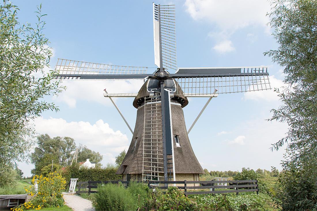 1, Molen 03877 De Rietvink (Nijetrijne), Frank Hendriks (21-8-2018) | Database Nederlandse molens