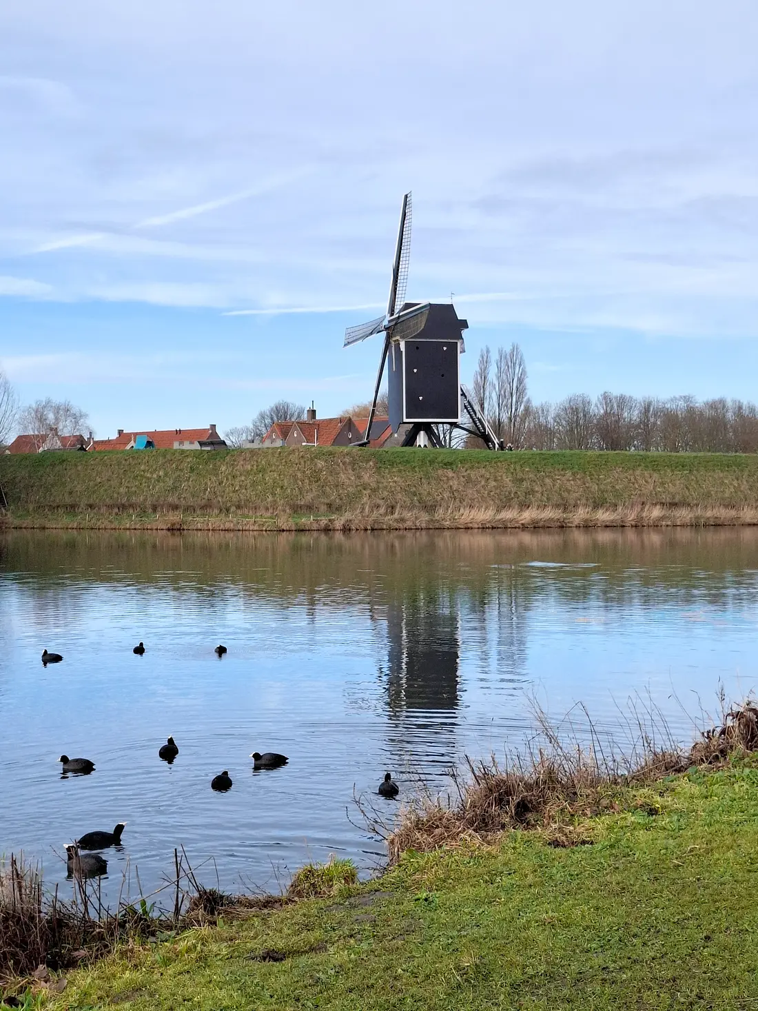 4, Molen 10145 't Vliegend Hert (Brielle), Niels Hoogstad (19-12-2025)&nbsp; | Database Nederlandse molens