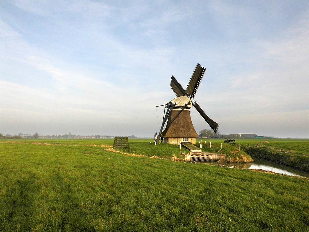 5, Molen 12345 Rispens (Oosterend / Easterein), Coen Manche (24-11-2019) | Database Nederlandse molens
