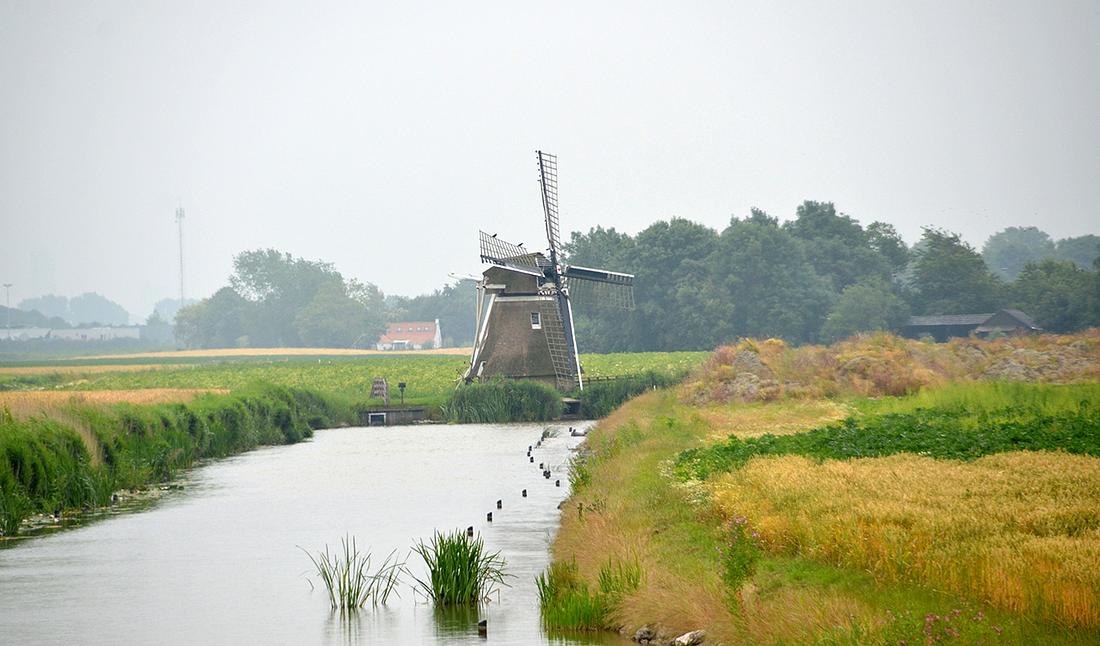 1, Molen 03035 De Balkendsterpoldermolen / Balkendsterpoldermûne (Oude Leije / Alde Leie), René Speur (20-7-2014) | Database Nederlandse molens