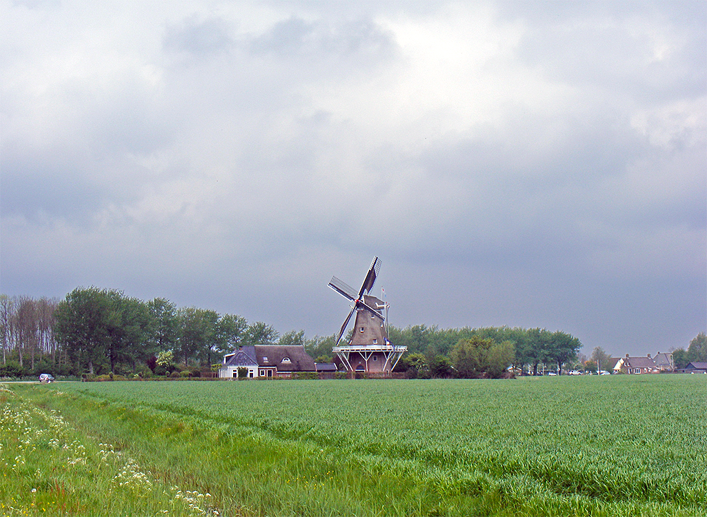 1, Molen 03226 De Hond (Paesens / Paezens), Martin E. van Doornik (13-5-2017)Punt van zorg is het opkomende groen aan de west- en noordwestkant van de molen. | Database Nederlandse molens