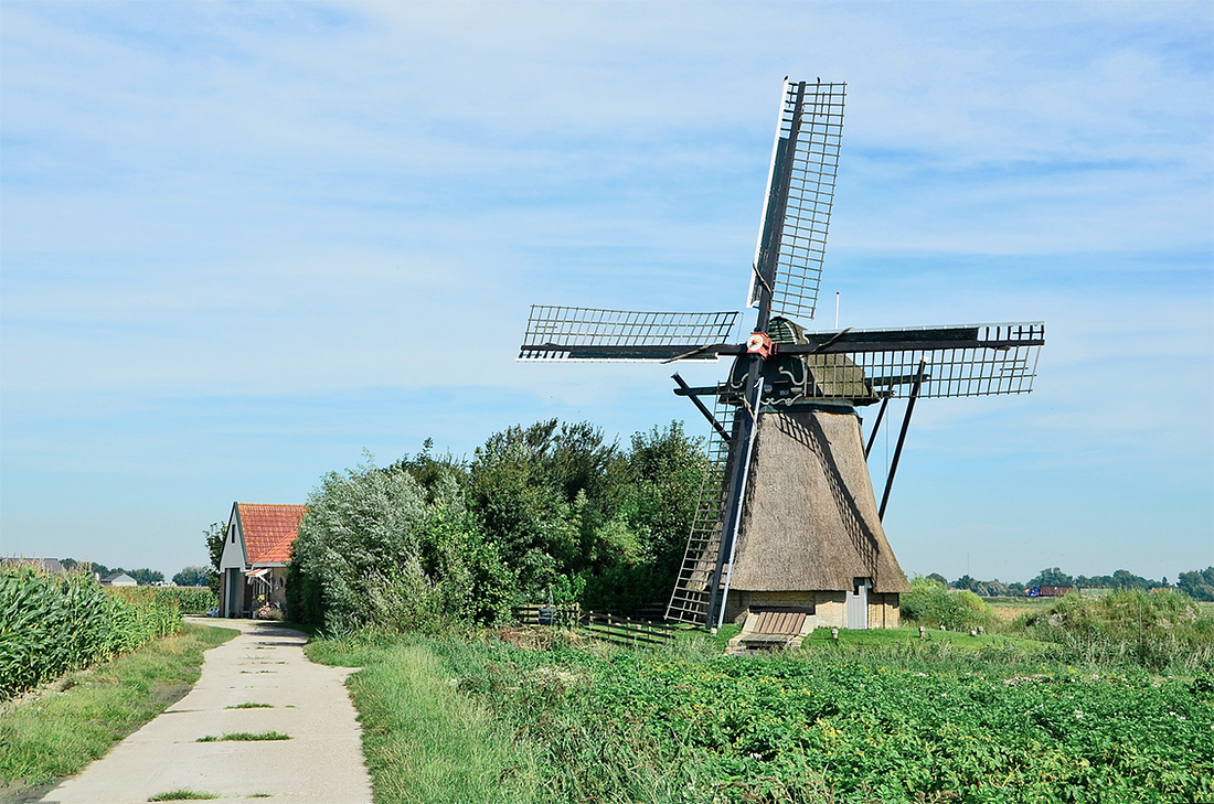 1, Molen 03196 De Schalsumermolen / Skalsumer Mole (Schalsum / Skalsum), Bernd Käding (25-8-2016) | Database Nederlandse molens