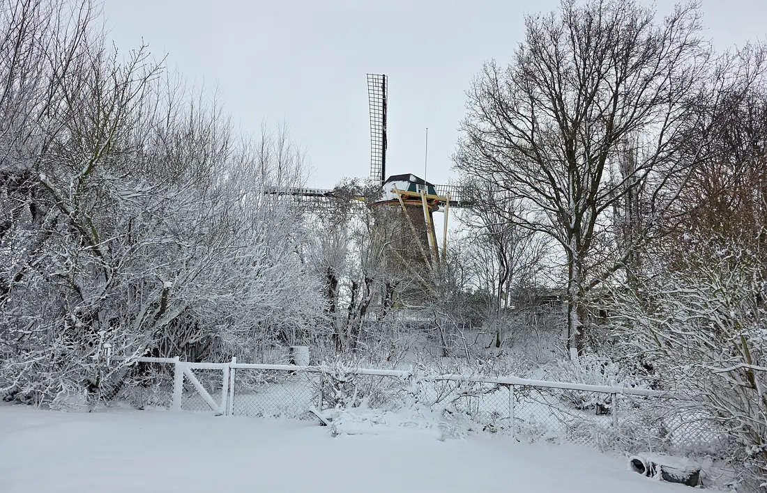 3, Molen 01904 Zeezicht (Nieuwenhoorn), Miriam de Ruijter (07-01-2026)&nbsp;De molen heeft "zeker niet uit alle richtingen" vrije windvang. | Database Nederlandse molens