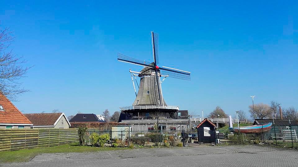 1, Molen 03013 De Korenaar (Sexbierum / Seisbierrum), Teake Visser (8-3-2015) | Database Nederlandse molens