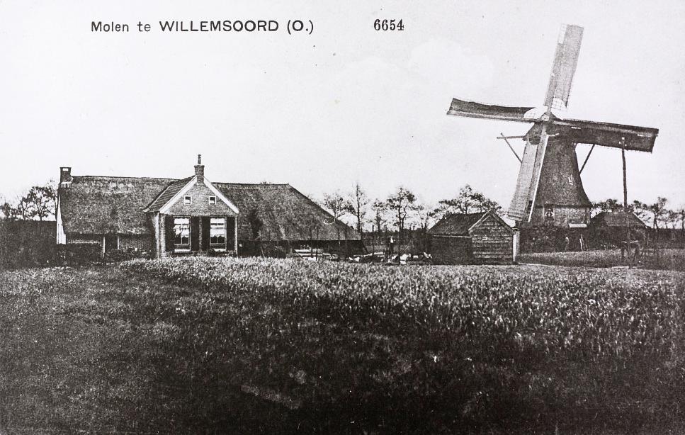 1, Molen 01465 Meule van Wierda (Willemsoord), ansichtkaart, coll DVM | Database Nederlandse molens