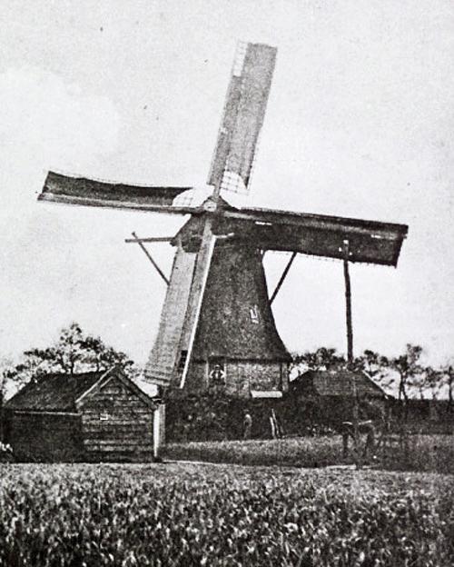 Molen 01465 Meule van Wierda (Willemsoord), deel van onderstaande ansichtkaart, collectie DHM | Database Nederlandse molens