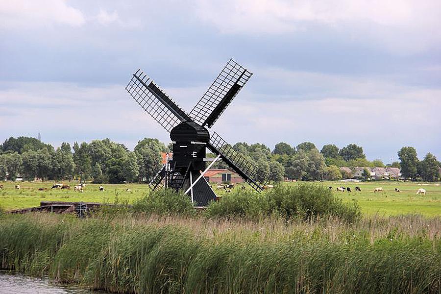 4, Molen 12215 Terpensmole (vh. Himmole) (IJlst / Drylts), De Terpensmole gezien vanaf de Geau.  Sjoerd de Roos (29-6-2014). | Database Nederlandse molens