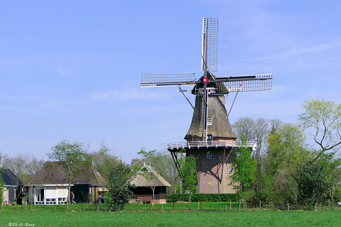 1, Molen 03080 De Hoop (Suameer / Sumar), M. de Hoop (19-4-2018) | Database Nederlandse molens