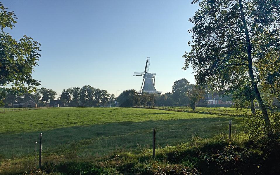2, Molen 03080 De Hoop (Suameer / Sumar), Goed te zien is de boomrijke omgeving van de molen.J.G. Borst (10-10-2015) | Database Nederlandse molens