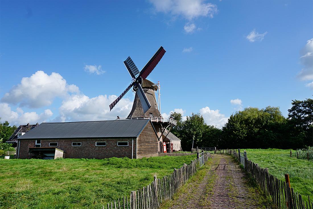 2, Molen 03261 Koartwâld / Feanstermoune (Surhuisterveen / Surhústerfean), Abel van Loenen (22-8-2020) | Database Nederlandse molens