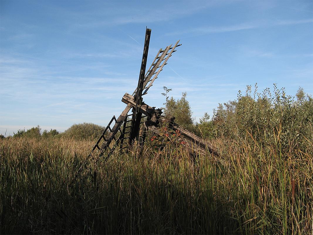 2, Molen 10222 (Tjasker bij De Deelen) (Luinjeberd), Jacob Bijlstra (5-10-2018)Kruien is niet mogelijk zonder snoeiwerk. | Database Nederlandse molens