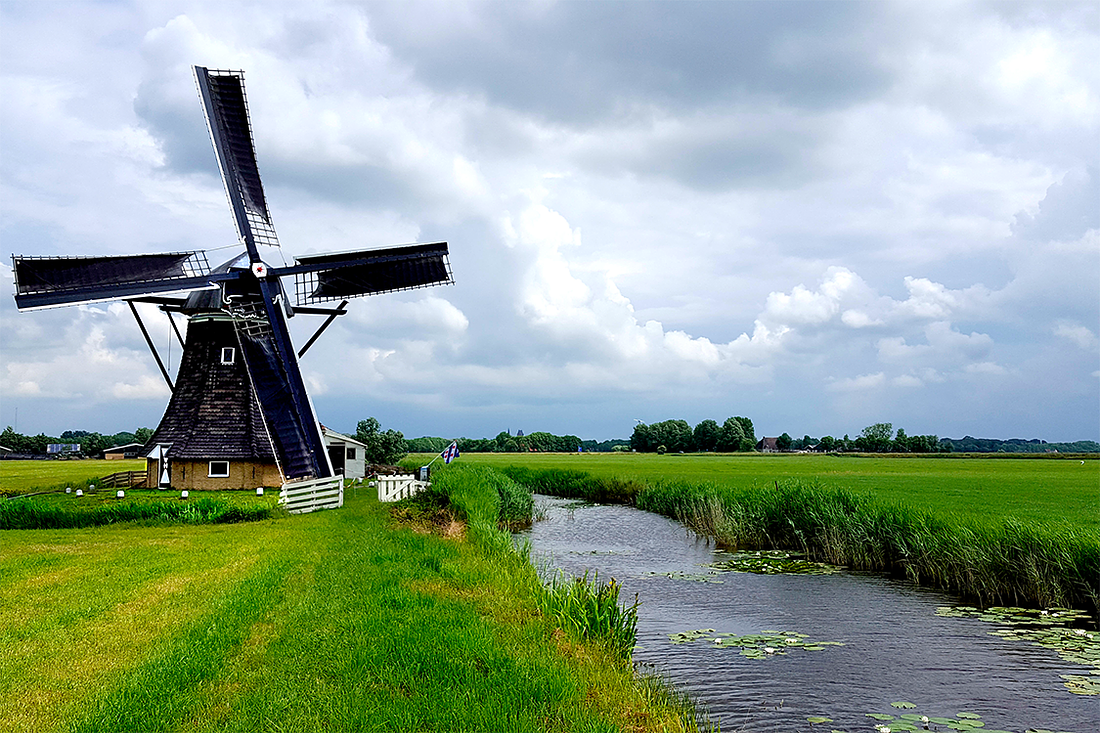 1, Molen 01439 Babuurster molen / Beabuorster Mole (Tjerkwerd / Tsjerkwert), Sjoerd de Roos (15-6-2016) | Database Nederlandse molens