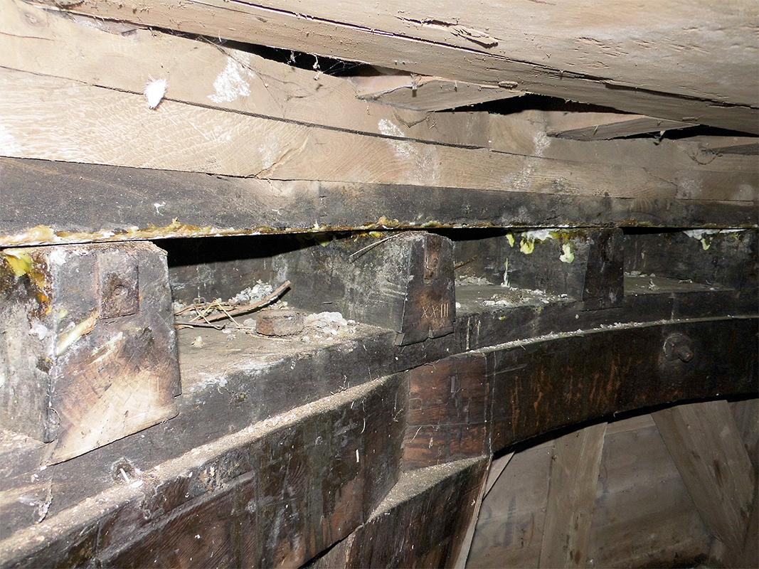 14, Molen 01439 Babuurster molen / Beabuorster Mole (Tjerkwerd / Tsjerkwert), Coen Manche (24-11-2019) | Database Nederlandse molens