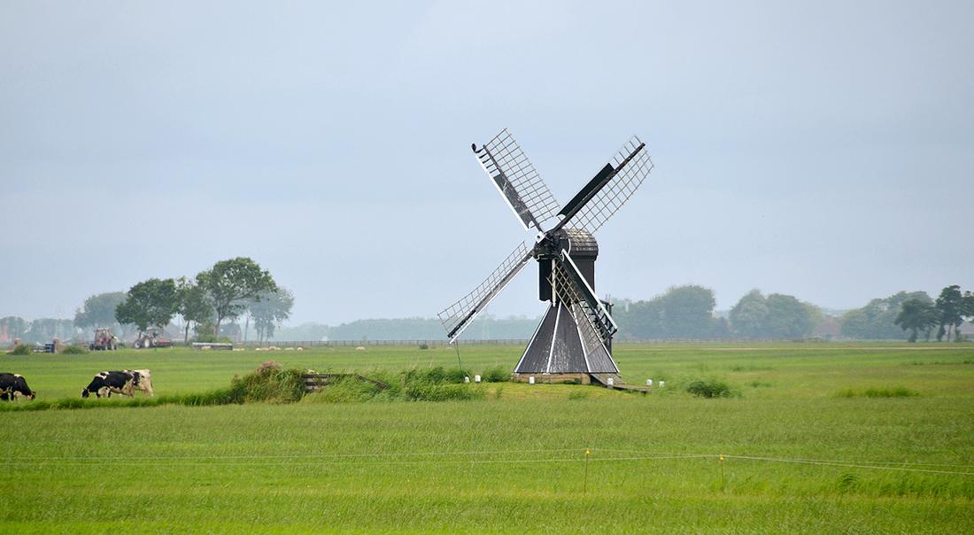 1, Molen 03188 Teatlum / Duivenhok (Tzum / Tsjom), René Speur (20-7-2014) | Database Nederlandse molens