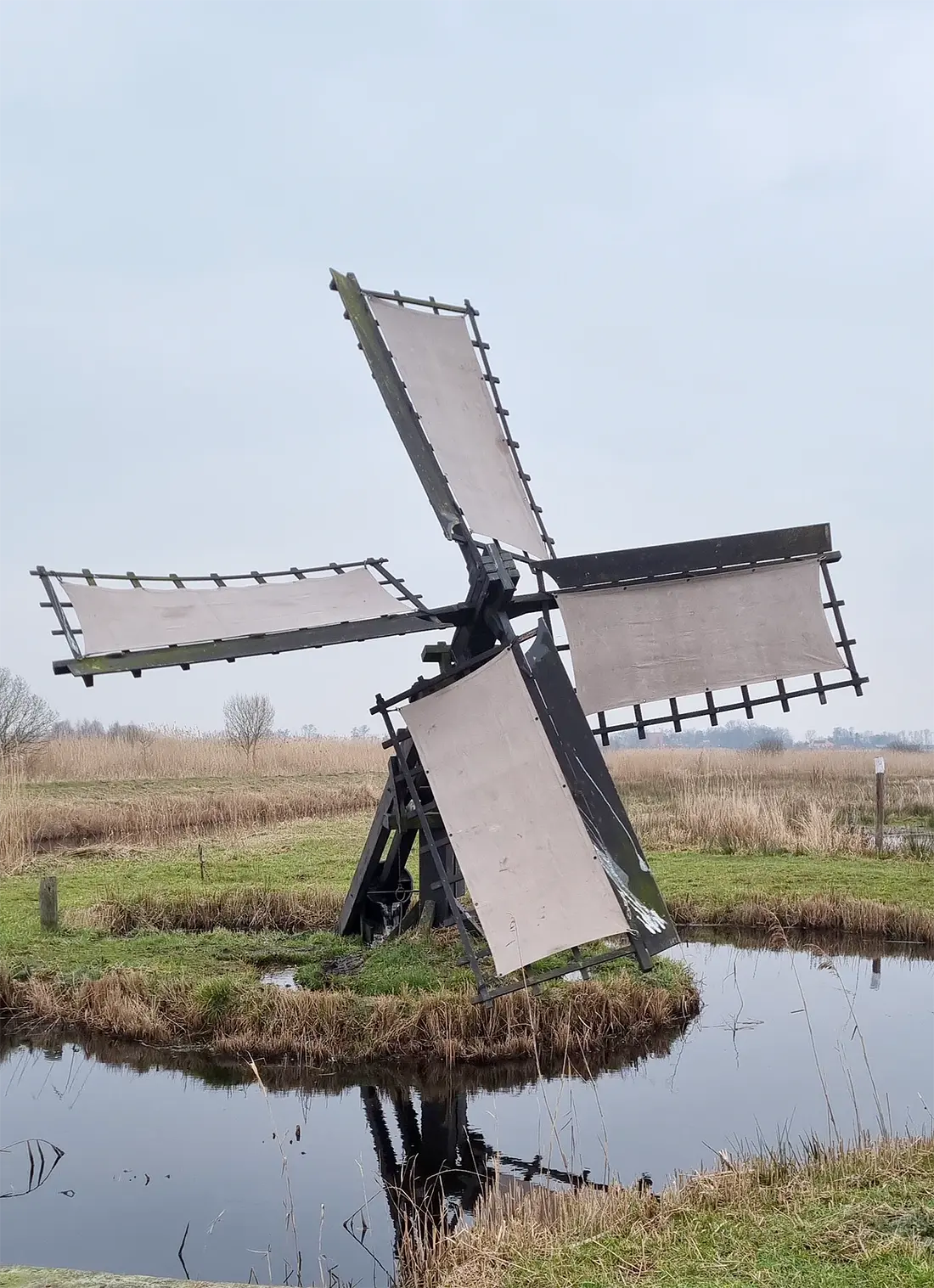 Molen 17290 De Houtwiel (Veenwouden / Feanwâlden), Jan Pieter Visser (16-2-2023) | Database Nederlandse molens