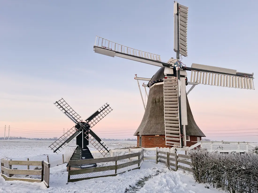 7, Molen 16878 Lutje Meuln (Den Ham), Rob Hoving (25-06-2025) | Database Nederlandse molens