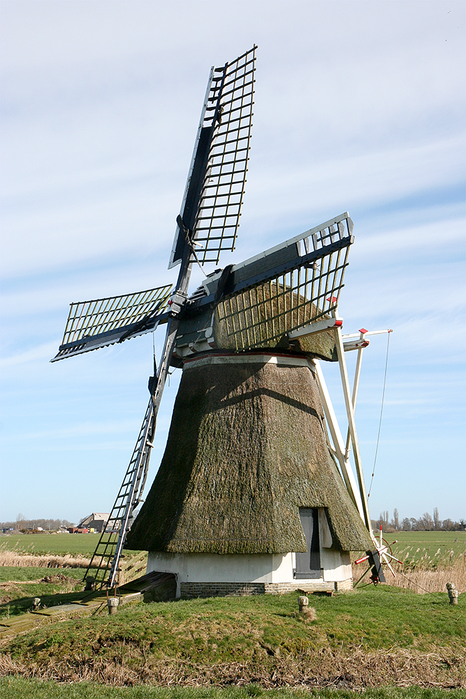 7, Molen 03230 De Beintemapoldermolen / Beintemapoldermûne (Westergeest / Westergeast), Ronald Bakker (10-3-2017)De molen in het tijdperk dat hij met riet was gedekt (1988 - 2023). | Database Nederlandse molens