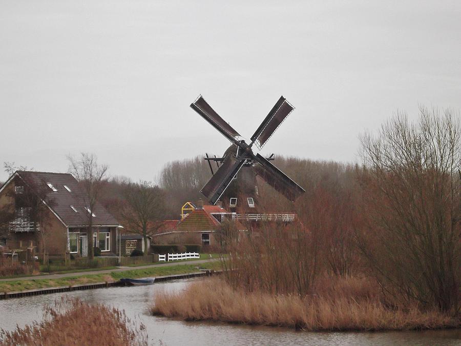 1, Molen 01431 De Onderneming (Witmarsum / Wytmarsum), Wilco Zeemans (27-1-2015). | Database Nederlandse molens
