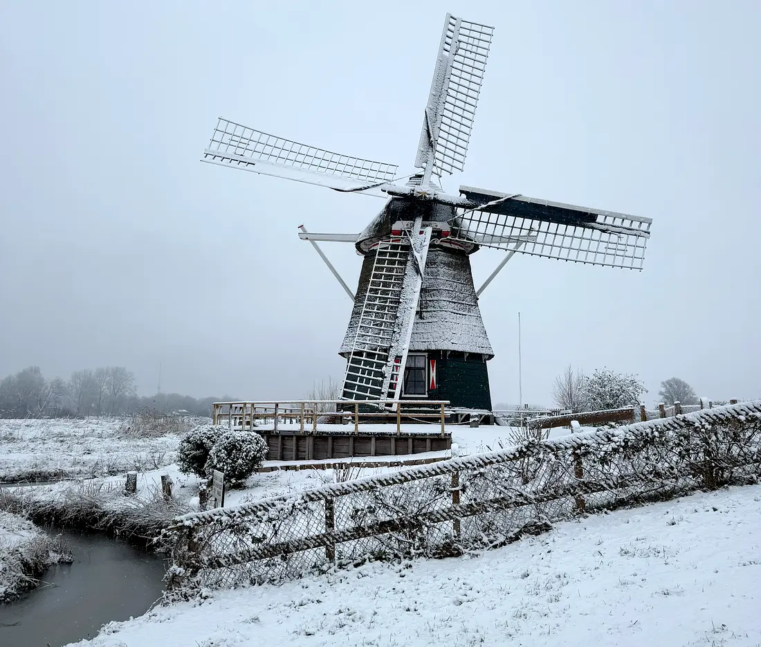 7, Molen 01775 De Kleine Molen / De Hommel (Haarlem), John van Put (16-01-2026)&nbsp; | Database Nederlandse molens