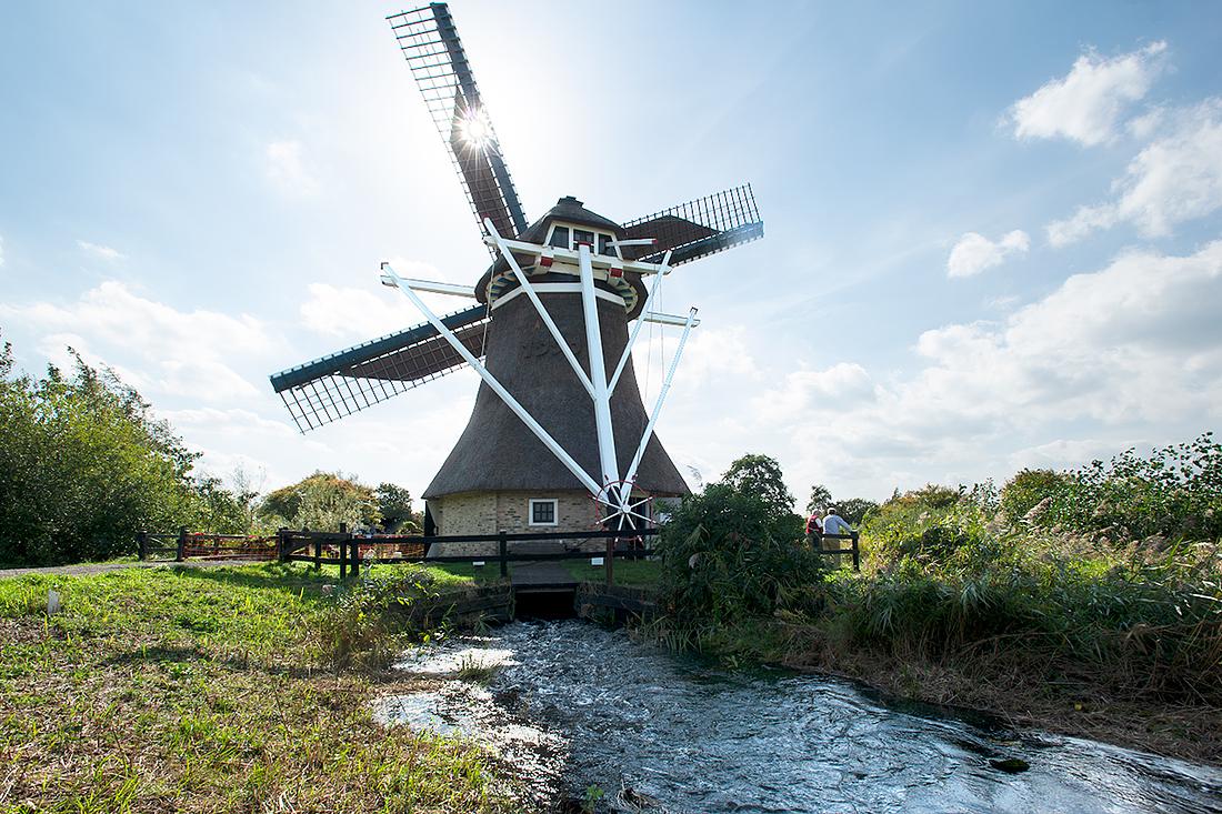 4, Molen 03856 De Gooijer (Wolvega), BB (19-9-2018) | Database Nederlandse molens