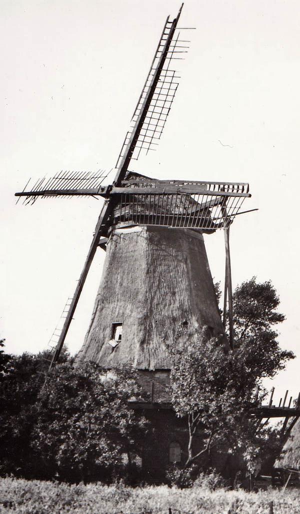 Molen 02728 Molen van Olsman / De Bok (Coevorden), Ansichtkaart serie 31 nr 4, foto W.O. Bakker, coll. DVM | Database Nederlandse molens