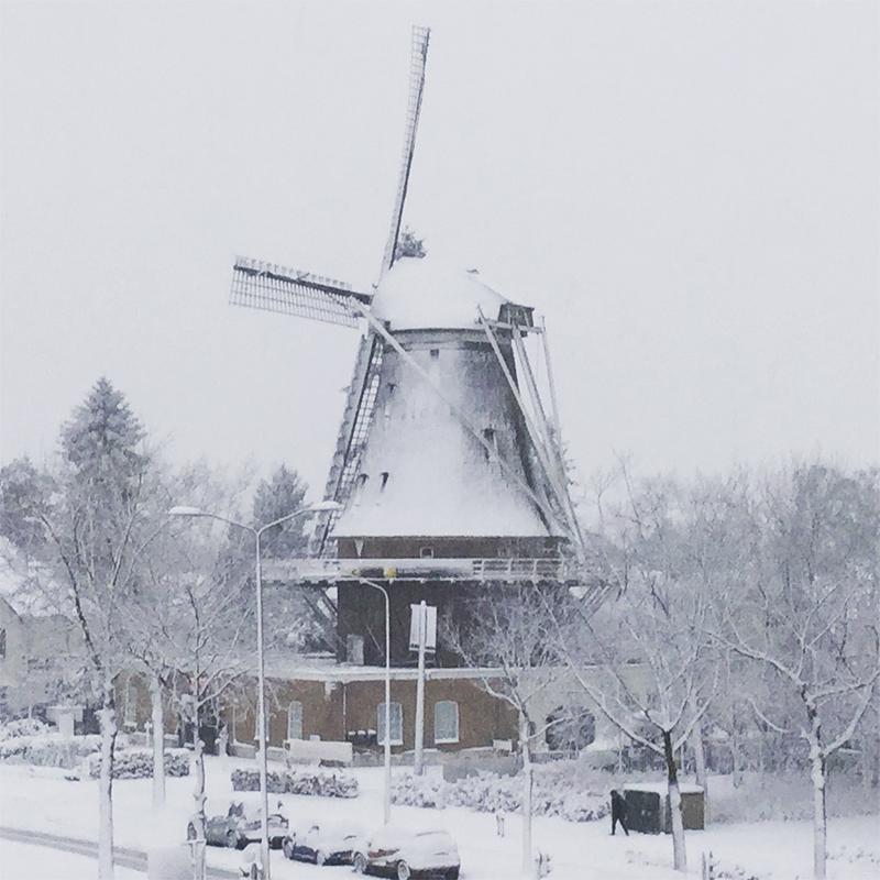 4, Molen 00267 a Sint Annamolen (Nijmegen), Christine van Dinteren (10-12-2017) | Database Nederlandse molens