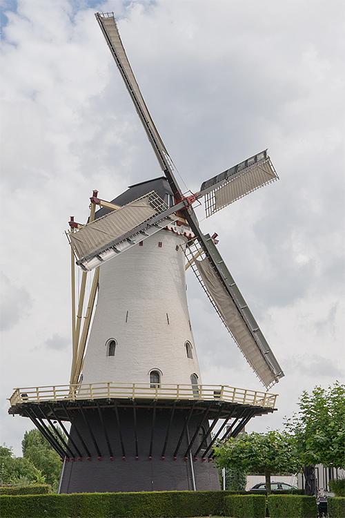 Molen 00266 De Witte Molen / Looimolen (Nijmegen), Marcel van Nies (20-8-2016) | Database Nederlandse molens