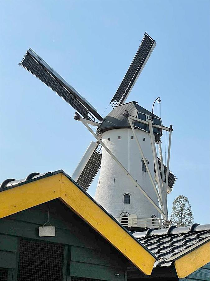 2, Molen 00266 De Witte Molen / Looimolen (Nijmegen), Naomi Bloem (9-9-2021) | Database Nederlandse molens