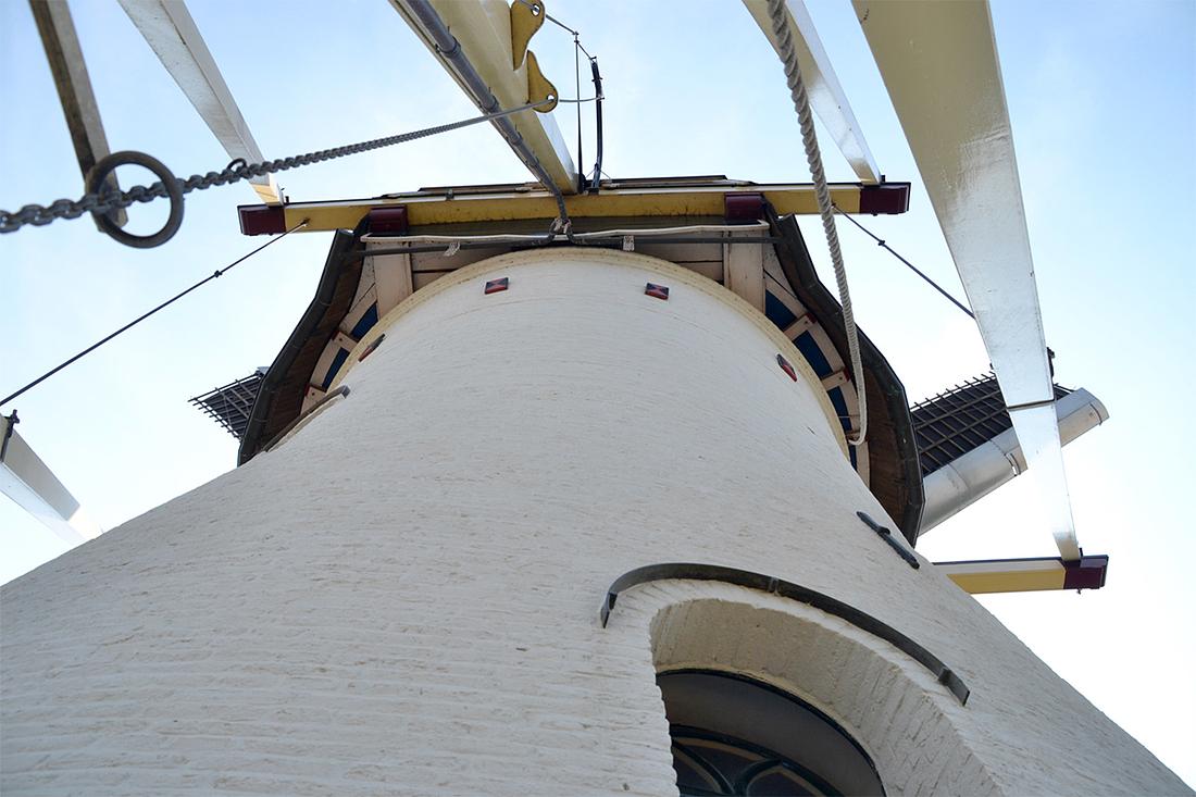 7, Molen 00266 De Witte Molen / Looimolen (Nijmegen), Rob Pols (27-7-2019)Een blik vanaf de stelling op de kap en de staart, met links de ketting voor de bediening van het fokwieksysteem en rechts het vangtouw. | Database Nederlandse molens