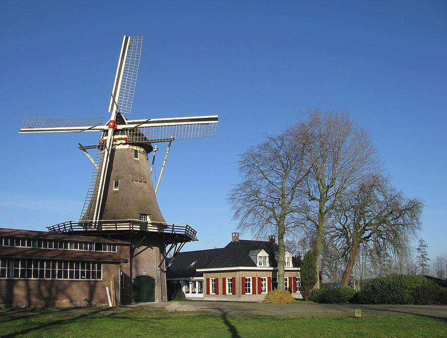1, Molen 01245 De Hoop (Oldebroek), Fraaie ensemble met de de loods en de nieuwe molenaarswoning. Maar die bomen niet!  Piet Glasbergen (17-1-2015). | Database Nederlandse molens