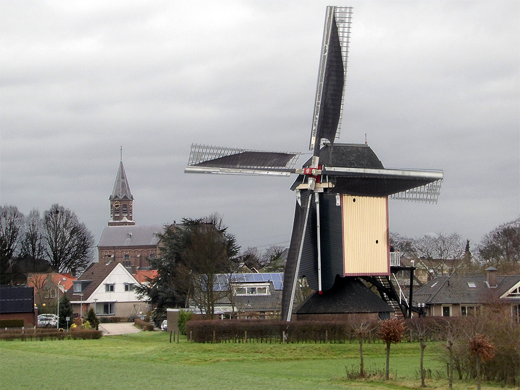 1, Molen 12349 Zeldenrust (Overasselt), Nico van den Broek (1-1-2018)De molen heeft sinds 1 jan 2018 nieuwe molenaars en zal weer met regelmaat draaien en open zijn voor het publiek! Foto laat de landschappelijke waarde van de molen zien, die samen met de kerk beeldbepalend is voor Overasselt gezien vanaf de Maasdijk. | Database Nederlandse molens
