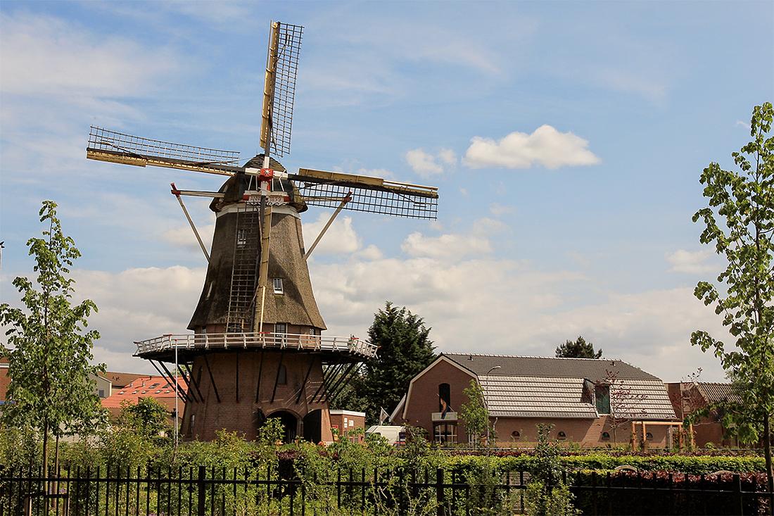 2, Molen 00104 Het Hert (Putten), A. den Hartigh (31-5-2014) | Database Nederlandse molens