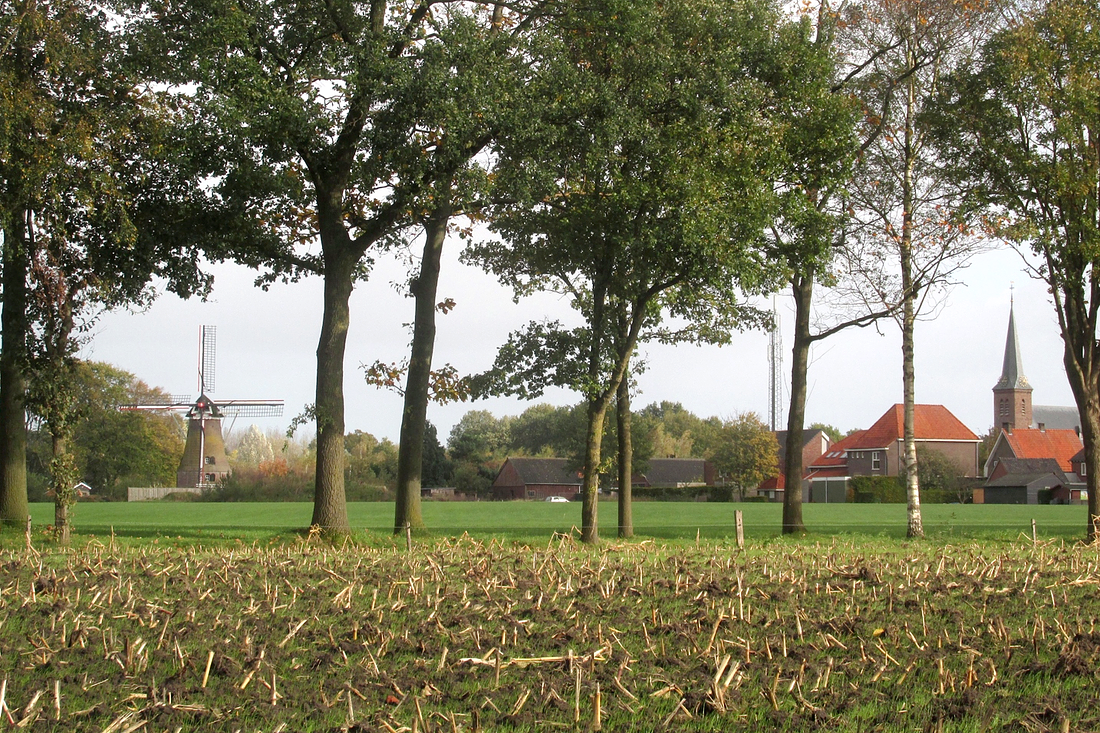 5, Molen 00903 De Piepermolen (Rekken), Piet Glasbergen (29-10-2017) | Database Nederlandse molens
