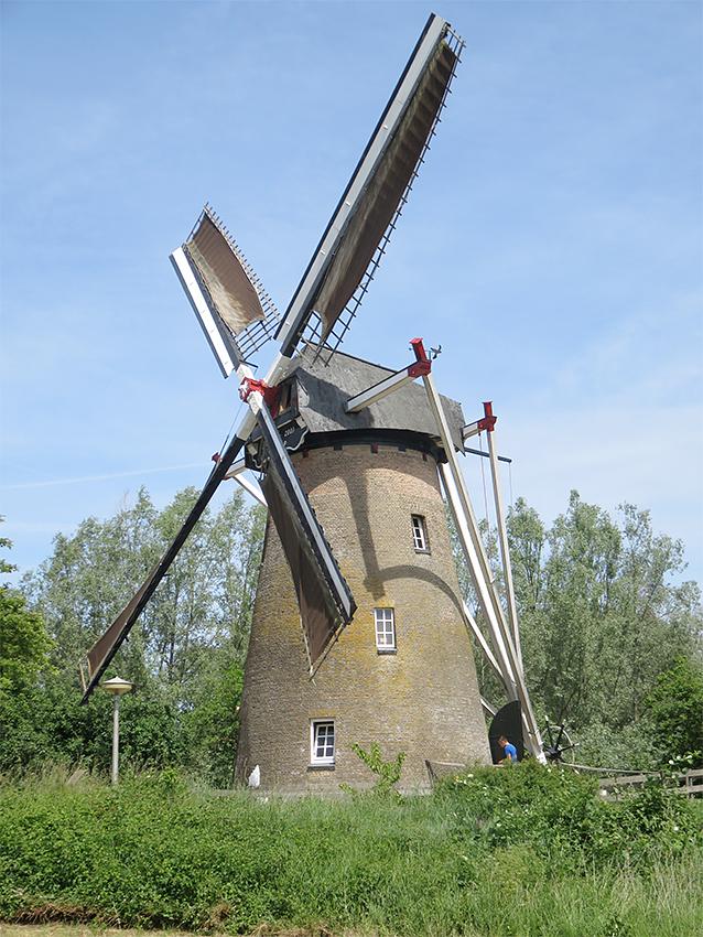 Molen 00085 De Hoop (Rijswijk), William Bouter (1-6-2019) | Database Nederlandse molens