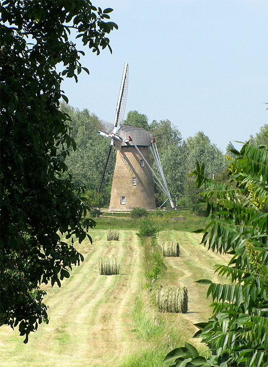 7, Molen 00085 De Hoop (Rijswijk), Piet Glasbergen (3-6-2011) | Database Nederlandse molens