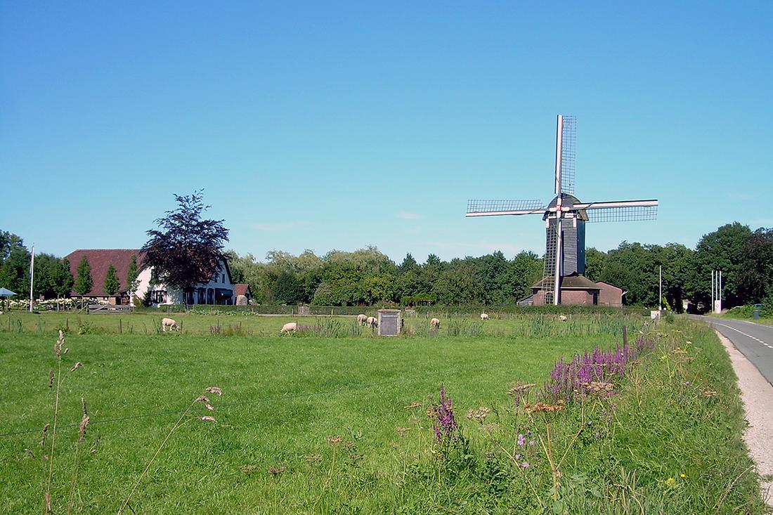 2, Molen 00290 Den Olden Florus / Kallenbroeker Molen (Terschuur), Paulien Wiersma (17-8-2016) | Database Nederlandse molens