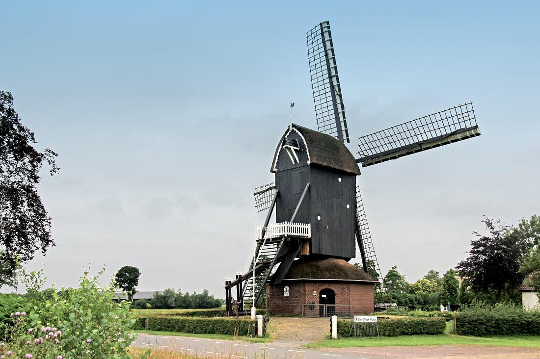 5, Molen 00290 Den Olden Florus / Kallenbroeker Molen (Terschuur), Ada den Hartigh (19-06-2018) | Database Nederlandse molens